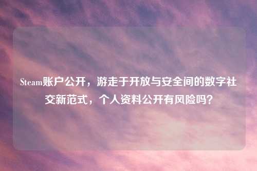 Steam账户公开,游走于开放与安全间的数字社交新范式,个人资料公开有风险吗?