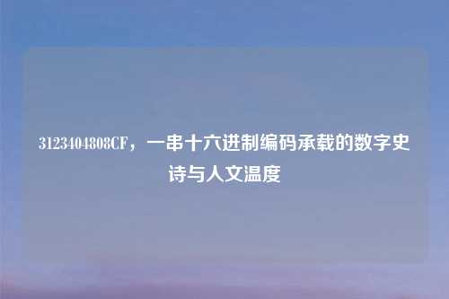 3123404808CF,一串十六进制编码承载的数字史诗与人文温度