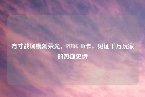 方寸战场镌刻荣光,PUBG ID卡,见证千万玩家的热血史诗