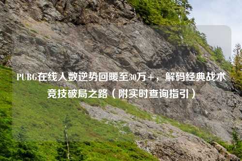 PUBG在线人数逆势回暖至30万+,解码经典战术竞技破局之路(附实时查询指引)