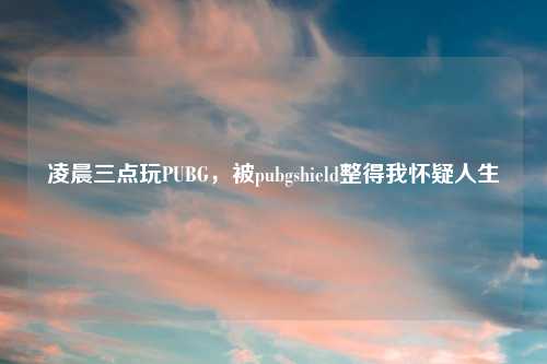 凌晨三点玩PUBG,被pubgshield整得我怀疑人生