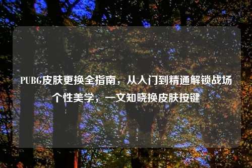 PUBG皮肤更换全指南,从入门到精通解锁战场个性美学,一文知晓换皮肤按键