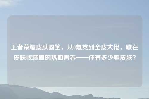 王者荣耀皮肤图鉴,从0氪党到全皮大佬,藏在皮肤收藏里的热血青春——你有多少款皮肤?