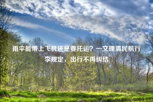 雨伞能带上飞机还是要托运？一文理清民航行李规定，出行不再纠结