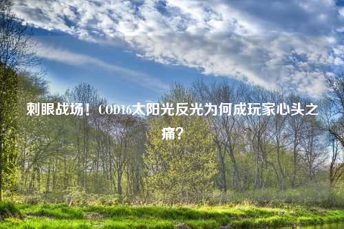刺眼战场!COD16太阳光反光为何成玩家心头之痛?