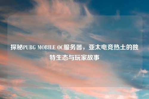 探秘PUBG MOBILE OC服务器,亚太电竞热土的独特生态与玩家故事