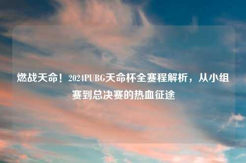 燃战天命!2024PUBG天命杯全赛程解析,从小组赛到总决赛的热血征途