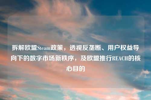 拆解欧盟Steam政策,透视反垄断、用户权益导向下的数字市场新秩序,及欧盟推行REACH的核心目的