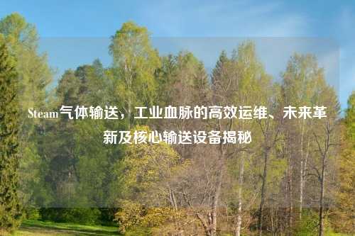 Steam气体输送,工业血脉的高效运维、未来革新及核心输送设备揭秘