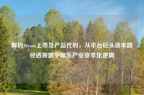 解码Steam上市及产品代码，从平台巨头资本路径透视数字娱乐产业资本化逻辑