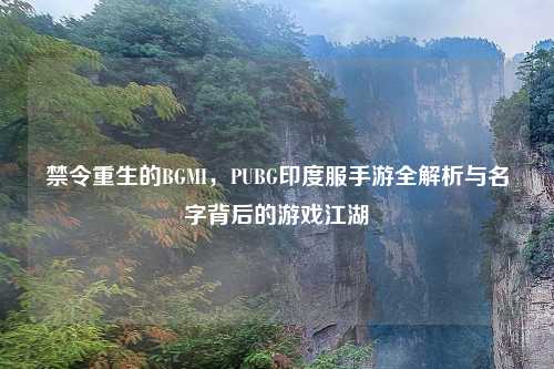 禁令重生的BGMI,PUBG印度服手游全解析与名字背后的游戏江湖