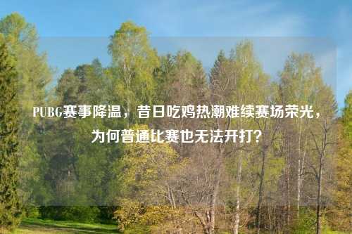 PUBG赛事降温,昔日吃鸡热潮难续赛场荣光,为何普通比赛也无法开打?