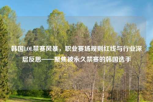 韩国LOL禁赛风暴,职业赛场规则红线与行业深层反思——聚焦被永久禁赛的韩国选手