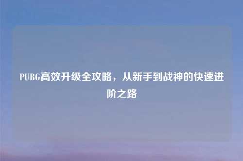 PUBG高效升级全攻略,从新手到战神的快速进阶之路