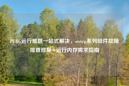 PUBG运行难题一站式解决,msvcp系列组件故障排查修复+运行内存需求指南