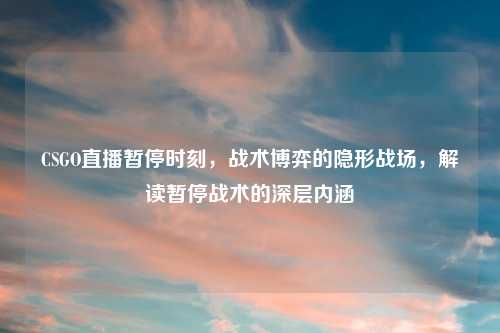 CSGO直播暂停时刻,战术博弈的隐形战场,解读暂停战术的深层内涵