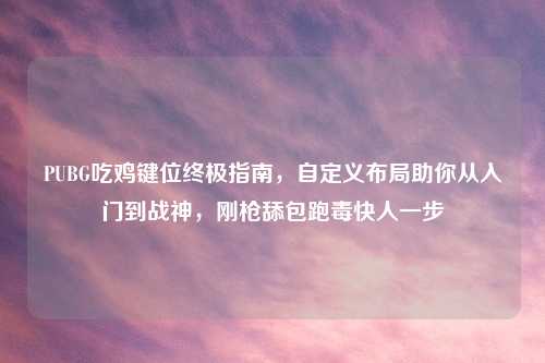 PUBG吃鸡键位终极指南,自定义布局助你从入门到战神,刚枪舔包跑毒快人一步