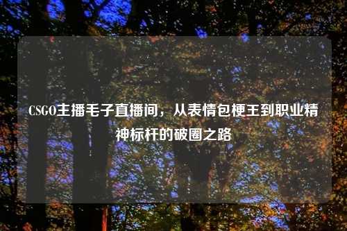 CSGO主播毛子直播间,从表情包梗王到职业精神标杆的破圈之路