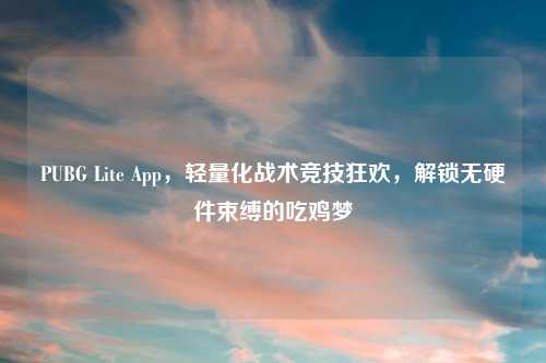 PUBG Lite App,轻量化战术竞技狂欢,解锁无硬件束缚的吃鸡梦