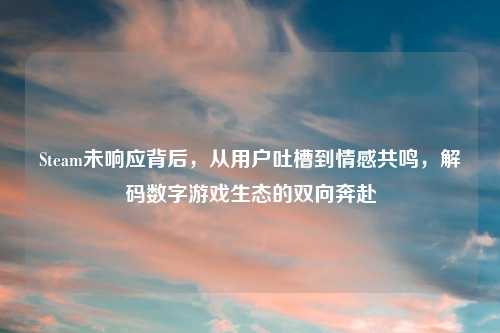 Steam未响应背后,从用户吐槽到情感共鸣,解码数字游戏生态的双向奔赴