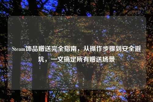 Steam饰品赠送完全指南,从操作步骤到安全避坑,一文搞定所有赠送场景