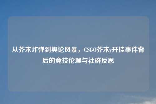 从芥末炸弹到舆论风暴，CSGO芥末y开挂事件背后的竞技伦理与社群反思