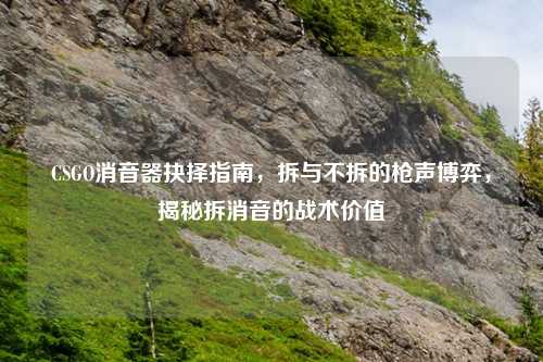 CSGO消音器抉择指南,拆与不拆的枪声博弈,揭秘拆消音的战术价值