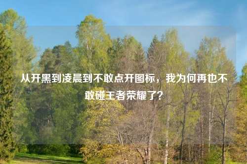 从开黑到凌晨到不敢点开图标,我为何再也不敢碰王者荣耀了?