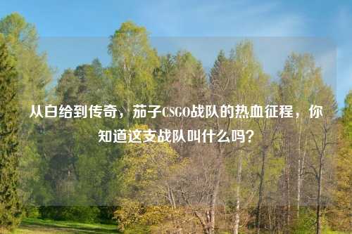 从白给到传奇,茄子CSGO战队的热血征程,你知道这支战队叫什么吗?