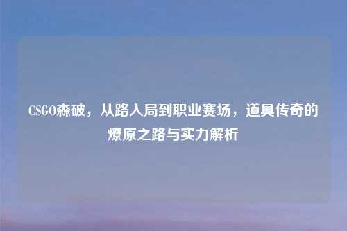 CSGO森破,从路人局到职业赛场,道具传奇的燎原之路与实力解析