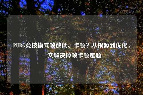 PUBG竞技模式帧数低、卡顿?从根源到优化,一文解决掉帧卡顿难题