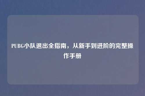 PUBG小队退出全指南,从新手到进阶的完整操作手册