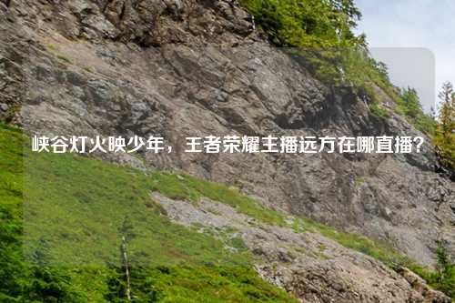 峡谷灯火映少年,王者荣耀主播远方在哪直播?
