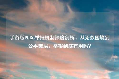 手游版PUBG举报机制深度剖析，从无效困境到公平破局，举报到底有用吗？