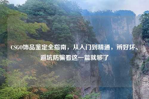 CSGO饰品鉴定全指南,从入门到精通,辨好坏、避坑防骗看这一篇就够了