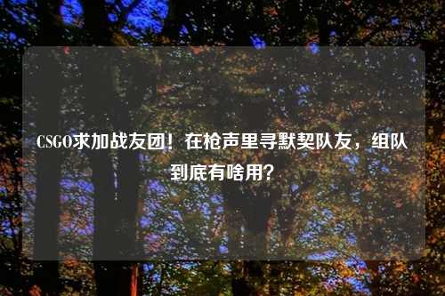 CSGO求加战友团！在枪声里寻默契队友，组队到底有啥用？