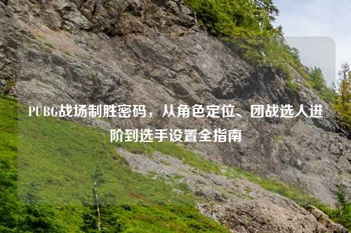 PUBG战场制胜密码，从角色定位、团战选人进阶到选手设置全指南
