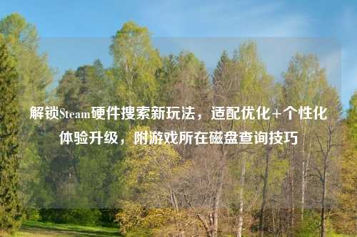 解锁Steam硬件搜索新玩法,适配优化+个性化体验升级,附游戏所在磁盘查询技巧
