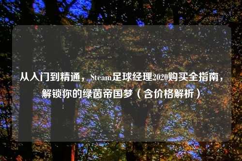 从入门到精通，Steam足球经理2020购买全指南，解锁你的绿茵帝国梦（含价格解析）