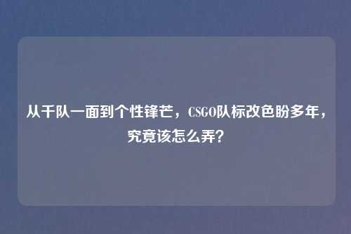 从千队一面到个性锋芒，CSGO队标改色盼多年，究竟该怎么弄？