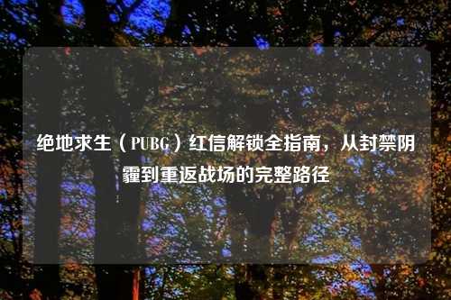 绝地求生(PUBG)红信解锁全指南,从封禁阴霾到重返战场的完整路径