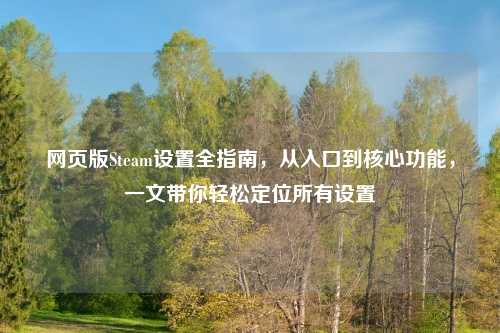 网页版Steam设置全指南，从入口到核心功能，一文带你轻松定位所有设置