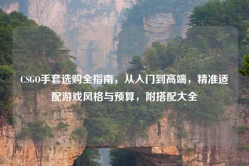 CSGO手套选购全指南，从入门到高端，精准适配游戏风格与预算，附搭配大全