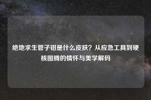 绝地求生管子钳是什么皮肤？从应急工具到硬核图腾的情怀与美学解码