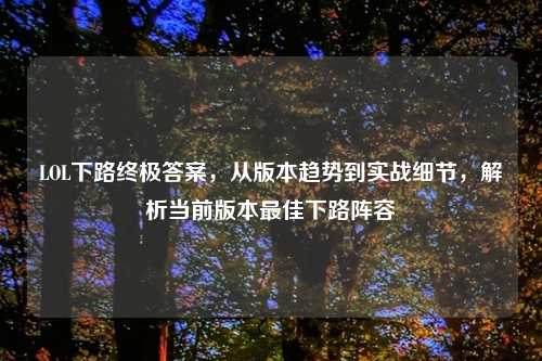 LOL下路终极答案，从版本趋势到实战细节，解析当前版本更佳下路阵容