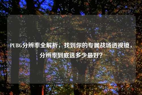 PUBG分辨率全解析,找到你的专属战场透视镜,分辨率到底选多少更好?