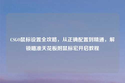 CSGO鼠标设置全攻略，从正确配置到精通，解锁瞄准天花板附鼠标宏开启教程
