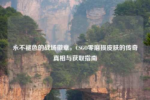 永不褪色的战场徽章，CSGO零磨损皮肤的传奇真相与获取指南