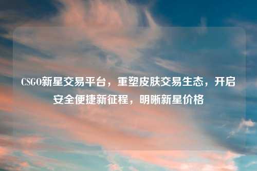CSGO新星交易平台，重塑皮肤交易生态，开启安全便捷新征程，明晰新星价格