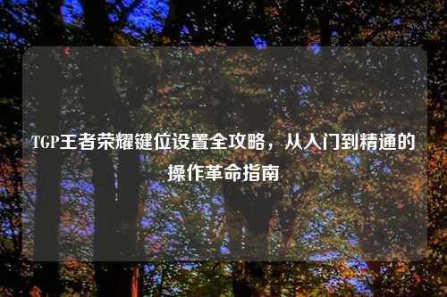 TGP王者荣耀键位设置全攻略，从入门到精通的操作革命指南